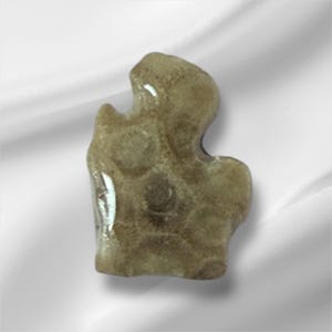 Michigan Petoskey Stone