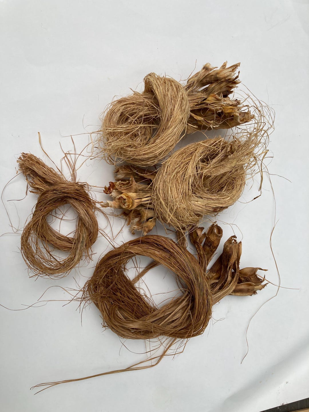 Using Yucca Fiber As Thread Yucca Fiber for Basketry Processed Natural - Etsy