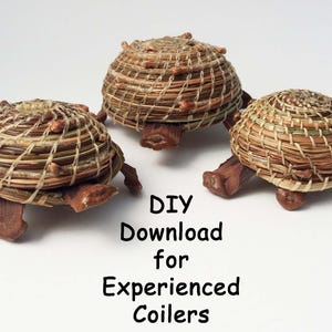 Puede incluir: Tres figuras con forma de tortuga hechas de agujas de pino enrolladas y fibras naturales, con extremidades y cabezas de madera marrón. El texto "DIY Download for Experienced Coilers" está impreso en negro debajo de las figuras sobre un fondo blanco.