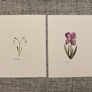 Bloemenkaartjes geboortemaand (12 stuks)