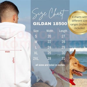 Gildan 18500 Size Chart | Male Model Sizing Chart Mockup | Unisex Hoodie Size guide | Men 18500 Beach Mock | Dog Hoodie Mockup | Human Mock