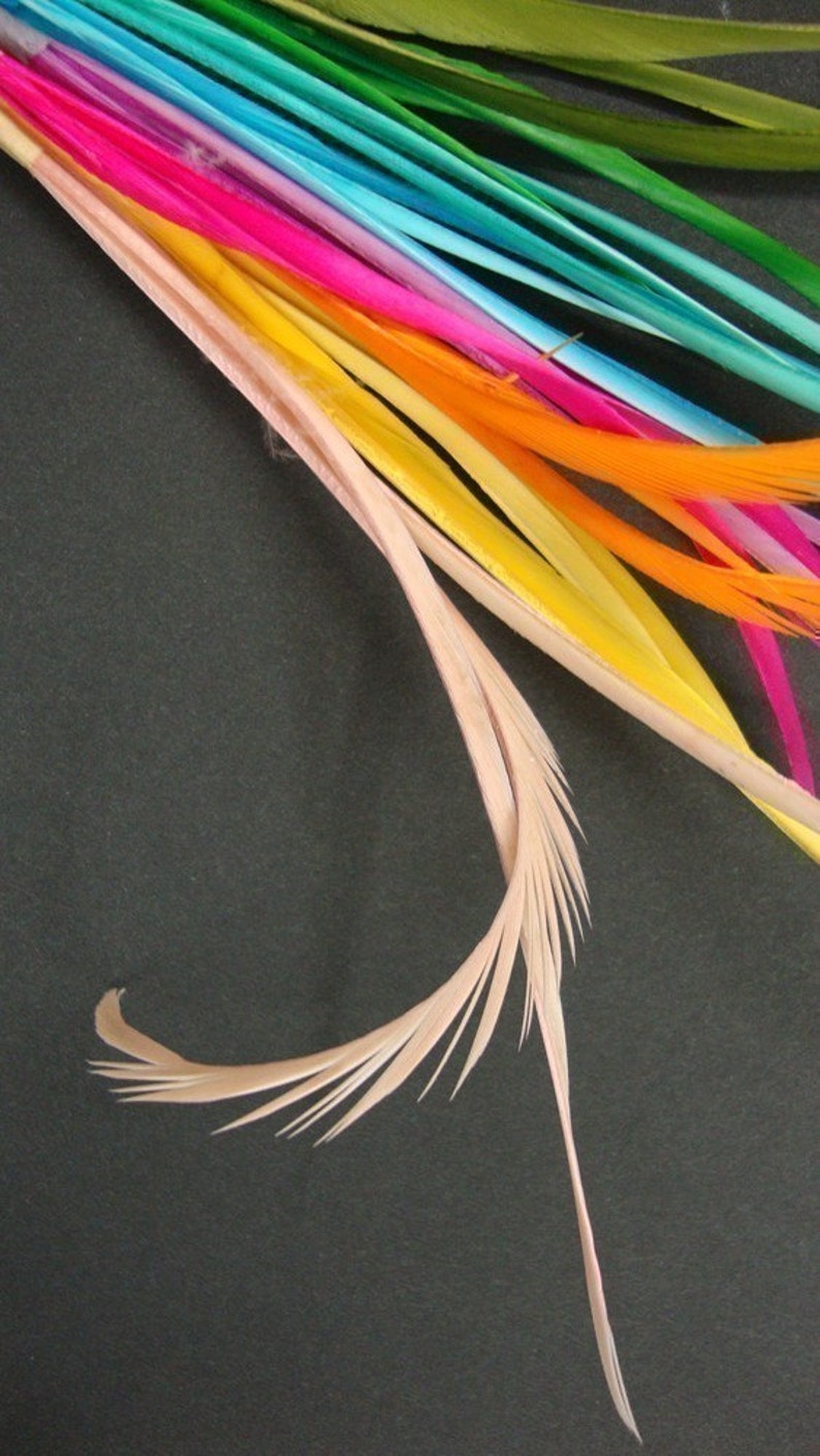 QUAL A DIFERENÇA ENTRE PENAS E PLUMAS DE GANSO