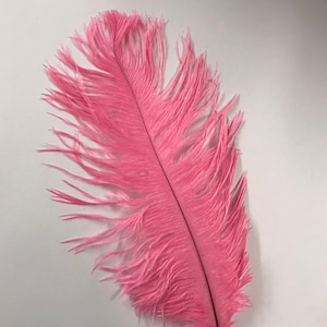 Ostrich Feathers - Ostrich Drab Feathers - Coral 7 to 8 inches 5 pcs