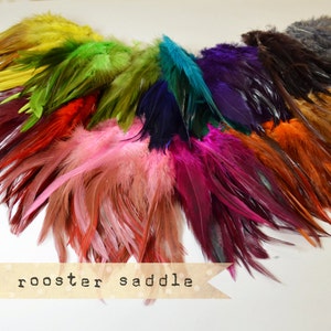 50 pcs + - Plumes de selle de coq - Bande de 5 cm - Bicolore, bout pointu, plumes brillantes, plumes exotiques