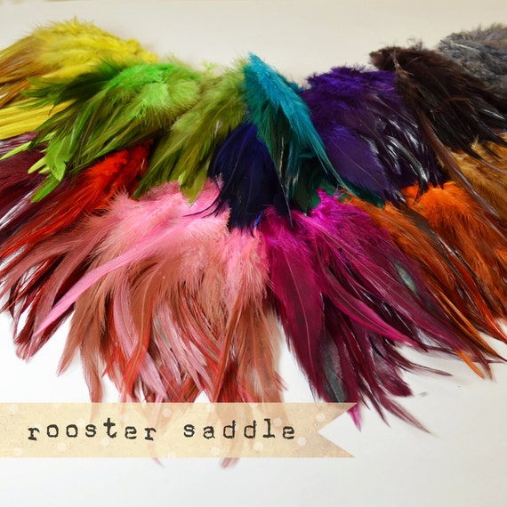 50 Pcs Rooster Saddle Feathers 2 Inch Strip Two-tone, Pointy Tip, Shiny  Feathers, Exotic Feathers -  Canada