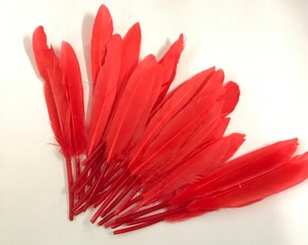 24pcs Small Duck Quills, Stiff loose feathers-Red