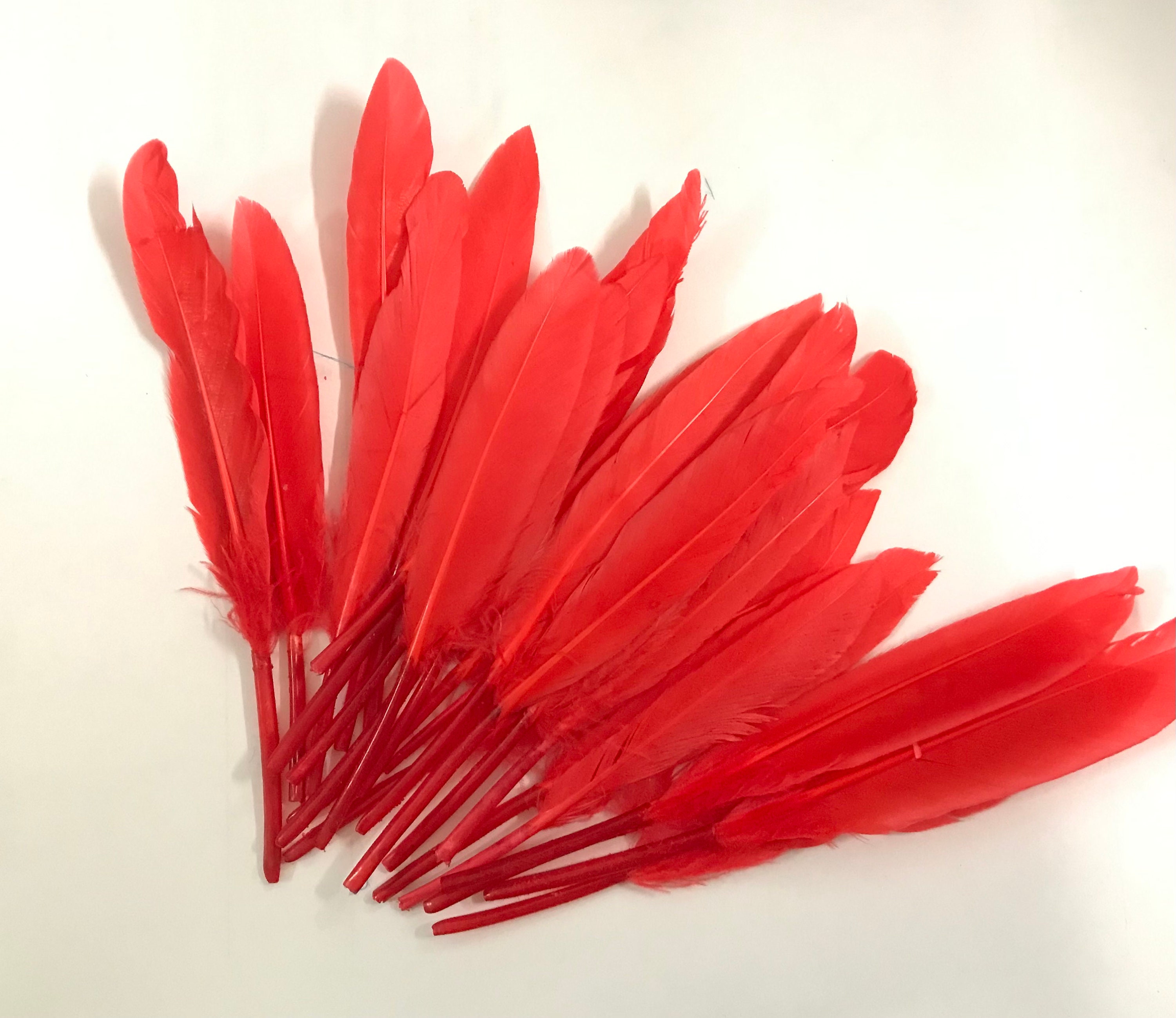 PlumuleFeather - Etsy 日本