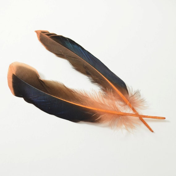 Mallard Feathers, Iridescent Green Wing - Orange/rust (10pcs