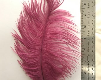 Ostrich Feathers - Ostrich Drab Feathers - eggplant 7 to 8 inches 5 pcs