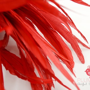 8-10 pcs -THEATRE LENGTH Rooster Tail, Red, 8-14 inches tall : 000