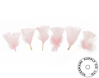 Turkey Feathers - Handpicked Loose Turkey Marabou Feathers - Blush Pink - 2"-4" (12pcs)