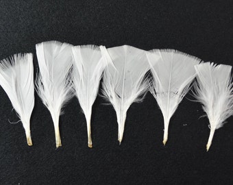 12pcs Türkei Flat Federn-White