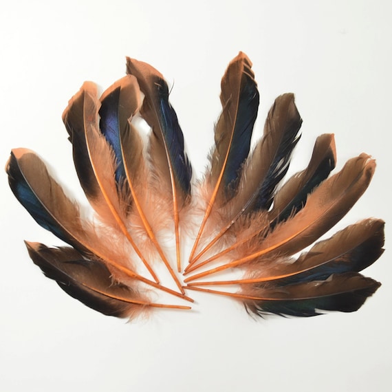 Mallard Feathers, Iridescent Green Wing - Orange/rust (10pcs