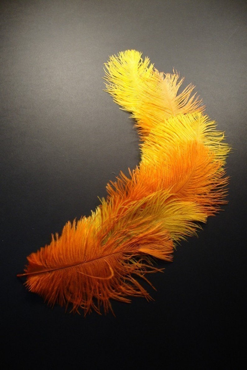 6 Plumes de mangue et dautruche orange. 7 pouces de hauteur. image 3