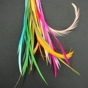 Goose Feathers - Wired Goose Biots - BLUSH Sample pack - 8 sprays (20-30 pieces)