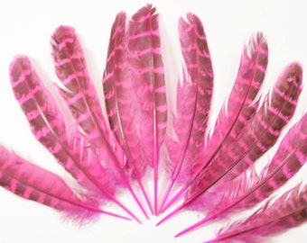 Ringneck Pheasant Hen Quills, Barred Wings - pink color 4-6" (10pcs)