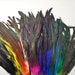 see more listings in the Coque / Rooster Feathers section