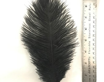 Ostrich Feathers - Ostrich Drab Feathers - Jet Black - 7 to 8 inches 5 pcs