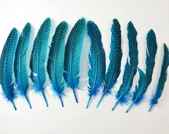 10pcs Guinea Fowl Quill Feathers, Polkadot Feathers- Turquoise