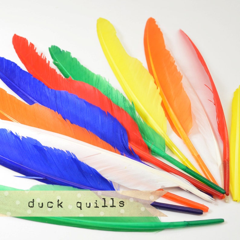 10pcs MULTI-COLOR Large Duck Quills Stiff loose feathers image 1