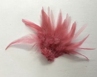 Rooster Saddle Feathers -Coral colour   (50-60pcs)