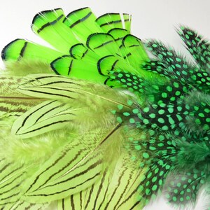 Puede incluir: Una colección de plumas verdes con diferentes patrones. Algunas plumas tienen rayas negras, mientras que otras tienen lunares verdes.