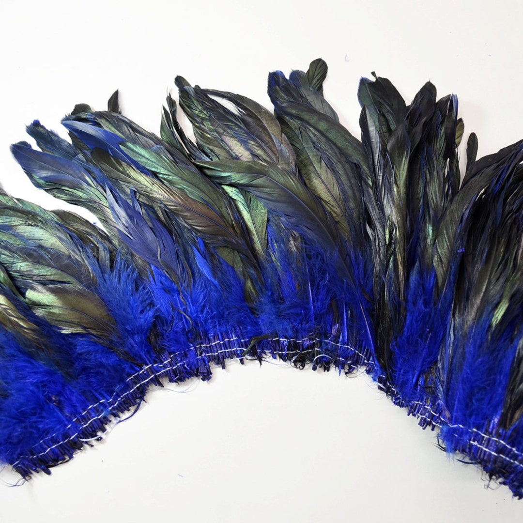25-30pcs Rooster Tail Feathers-royal Blue 6-8 Tall - Etsy