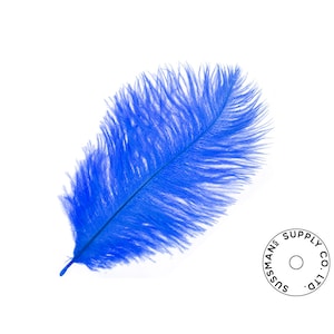 Ostrich Feathers - Wholesale Wedding Feathers Ostrich Drab Plumes - Royal Blue - 10pcs (14-17&quot;)