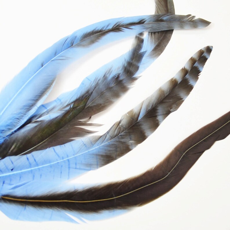 Rooster Tail Satinette With Barred Patterns Chalky Blue - Etsy