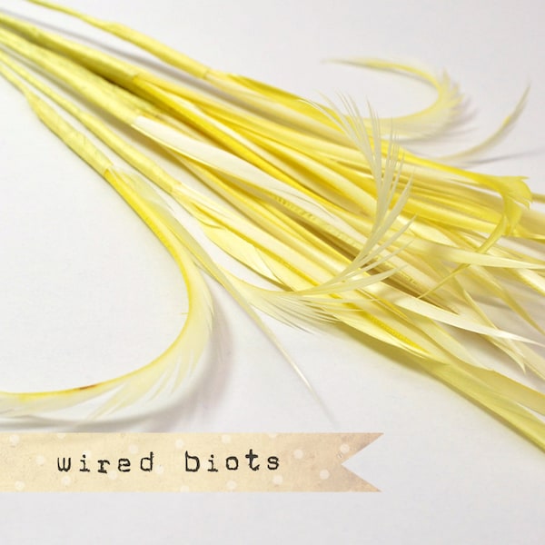10 bundles - 25-30pcs - LIGHT YELLOW - Goose Biots on Wire - could be curled - premium millinery supply, fishing supply, fly tying