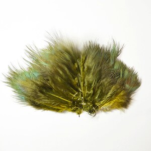 May include: A bunch of green and blue peacock feathers, tied together at the base.