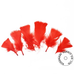 Turkey Feathers - Handpicked Loose Turkey Marabou Feathers - Red - 2&quot;-4&quot; (12pcs)