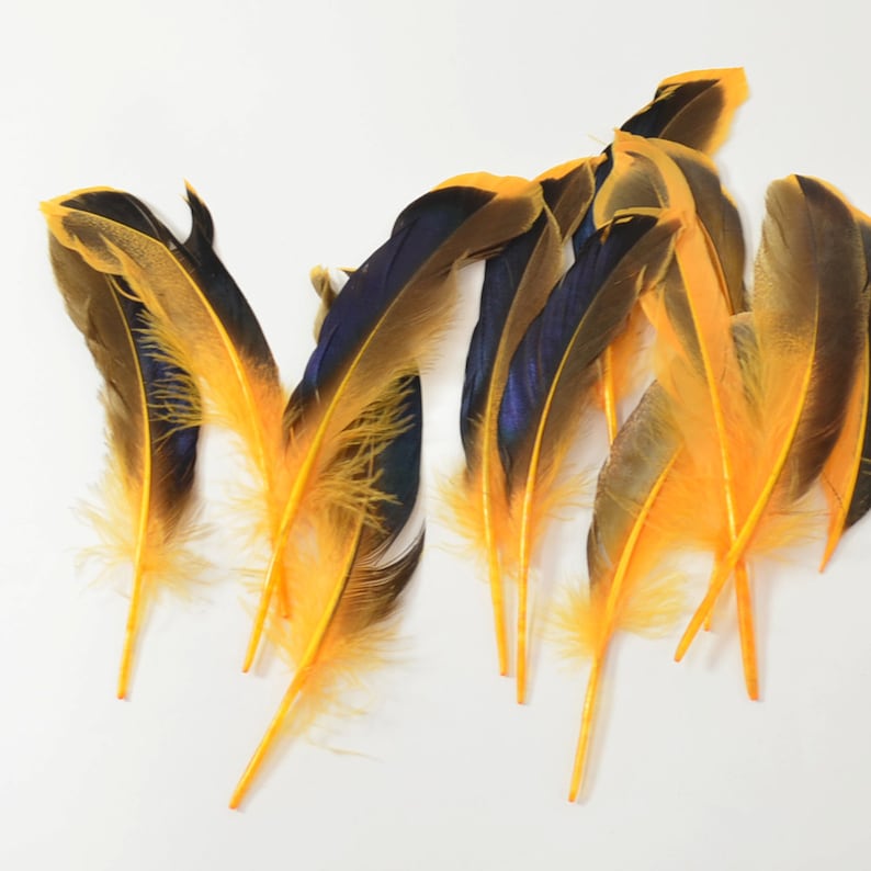 95 Plumes D'empenne Gateway 5 Pouces - Orange Mandarine - Aile Droite - Chasse à L'arc