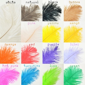 10pcs PICK YOUR OWN, 4-8 inches, Ostrich Feathers Drabs - Wholesale Feathers, Wedding feathers