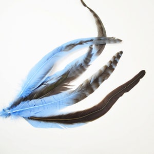 Rooster Tail Satinette with Barred Patterns - Chalky Blue, 7-14&quot; (6pcs)