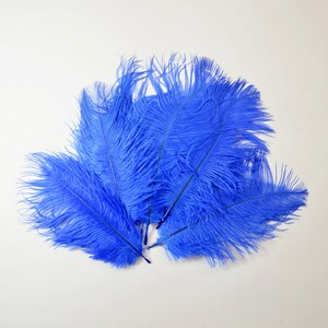 Petite Ostrich Drab Feathers - Blue, 4-8&quot; (12pcs)