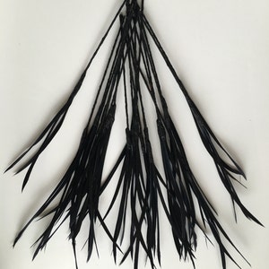 May include: A bundle of black feathers tied together at the top, forming a fan shape.