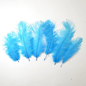 Ostrich Drab Feathers - Turquoise, 6-8&quot; 10 pcs