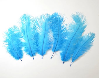 Petite Ostrich Drab Feathers - Turquoise, 4-8" (6pcs)