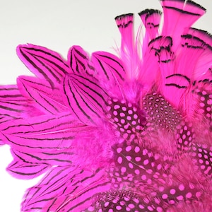 Puede incluir: Una colección de plumas rosas con rayas negras y lunares. Las plumas están dispuestas en forma de abanico.