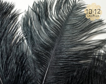 10 pcs - penachos de pluma de avestruz negra - 10-12" pulgadas - - teñidos cuentagotas plumas