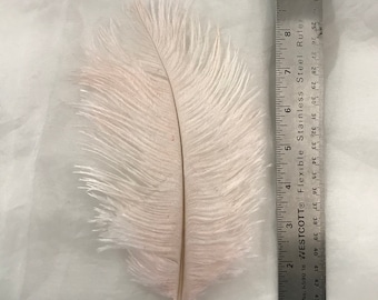 Ostrich Feathers - Ostrich Drab Feathers - Baby Pink - 7 to 8 inches 5 pcs
