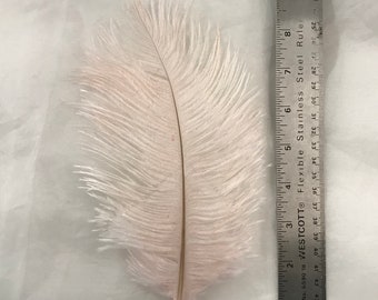 Ostrich Feathers - Ostrich Drab Feathers - Baby Pink - 7 to 8 inches 5 pcs