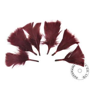 Turkey Feathers - Handpicked Loose Turkey Marabou Feathers - Wine - 2&quot;-4&quot; (12pcs)