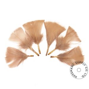 Turkey Feathers - Handpicked Loose Turkey Marabou Feathers - Brown - 2&quot;-4&quot; (12pcs)
