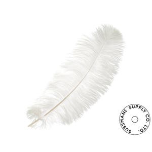 Piume di struzzo - Piume per matrimonio all'ingrosso - Piume di struzzo grigie - Bianche - 10 pezzi (6-8")