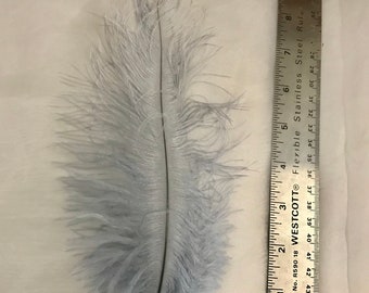 Ostrich Feathers - Ostrich Drab Feathers - Steel Blue - 7 to 8 inches 5 pcs