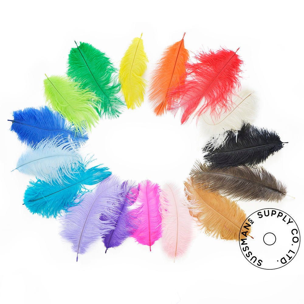 10 Pieces - 12-16 Black Dyed Ostrich Tail Fancy Feathers