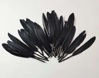 24 piccole penne d'anatra, piume rigide e sciolte - Nero