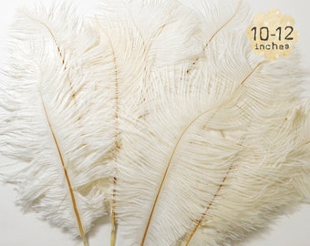 10 pcs - OFF WHITE - 10-12" inch - Ostrich Feather Plumes - Dyed Drabs Feathers